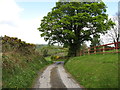 The winding Lissaraw Road