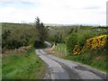 Lissaraw Road descending towards the junction with Carrowbane Road