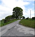 View north along Carrowbane Road from its junction with Lissaraw Road