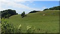 Grassland seen from a twisty road