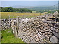 Dry Stone Wall