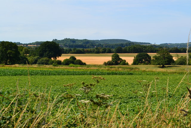 Looking south from the A272 towards the South Downs