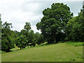 Field on a valley slope