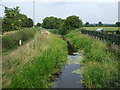 Grantham Canal near Harby