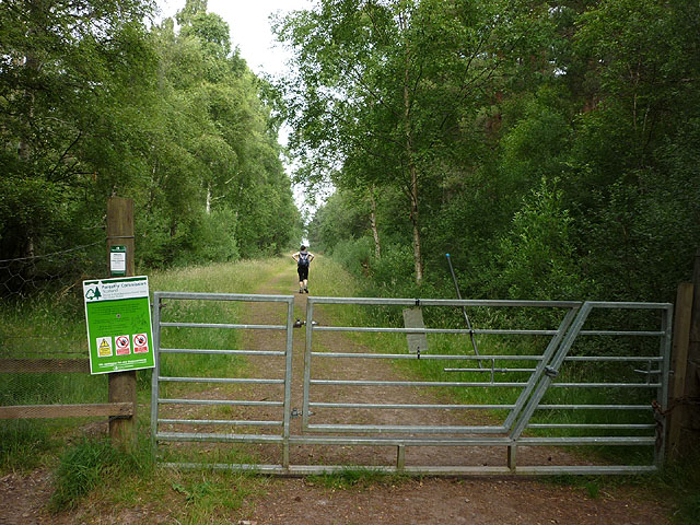Gate and track, Lochloy Wood, Culbin Forest