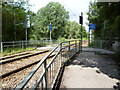 Morden Hall Park:  Tramway crossing