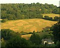 Valley side near Bridford