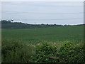 Farmland, Knowles Farm