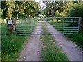 Gate across road to Lynemore