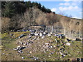 Ruins of Hafod mansion