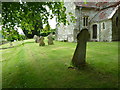 Saint Mary, Alvediston: churchyard (f)