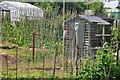 Tiverton : Tomswell Allotments