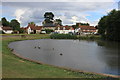 Haddenham duck pond