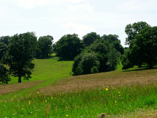 Landscaped parkland, Wadhurst Castle