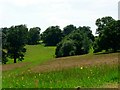 TQ6331 : Landscaped parkland, Wadhurst Castle by nick macneill