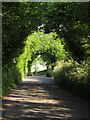 Road past High Kernock