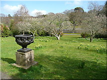 NS2310 : Urn outside the Camellia House, Culzean by Humphrey Bolton