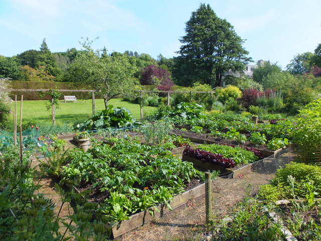 Vegetable garden, Malleny