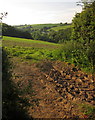 Field above the Hornifast valley