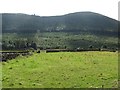 Grazing land east of Tullyframe Road