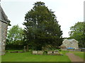 St Nicholas, Ashmore: churchyard