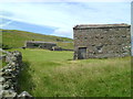 Hillside pastures above Muker