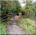 Bridge to the Frome Valley Walkway, Chipping Sodbury