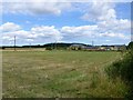 Pylons and electricity poles near Acklington