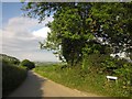 Lane to Halton Quay