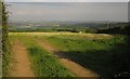 Field and view above Jubilee Cottages