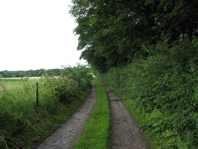 Track beside Blackamoor Wood
