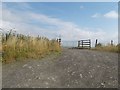 Field gate and cattle grid at start of track