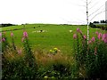 Murnells Townland