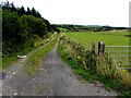 Rough lane, Murnells