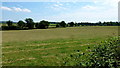 Grassland south of Wheeler