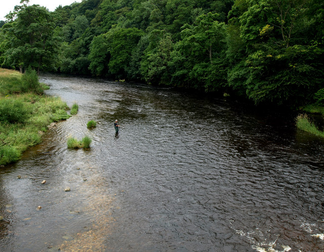 Fly Fishing in the River Wharfe