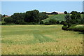 Copse in farmland below Creslow