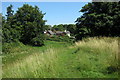 View into moat ditch from the castle mound