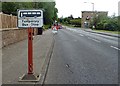 A temporary bus stop in Galashiels