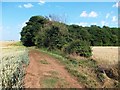 Path to the north of Swinston Hill Wood