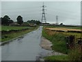 Pond Common Lane, view west