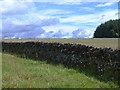 Wall and fields near Stockbridgehill Farm