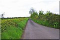 R8385 : Road to Ballyhogan, near Kiladangan, Co. Tipperary by P L Chadwick
