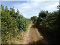 The bridle way near East Orielton