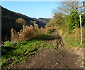 Riverside track, Brockweir