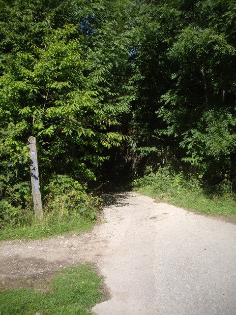 Paths junction © Stanley Howe cc-by-sa/2.0 :: Geograph Britain and Ireland