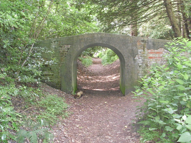 Stone bridge in Dunwich Wood