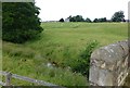 Looking across Lorbottle Burn