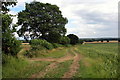 Bridleway down to the brook