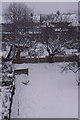 Anerley back gardens under snow